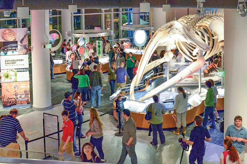 People looking at dinosaur fossil in museum